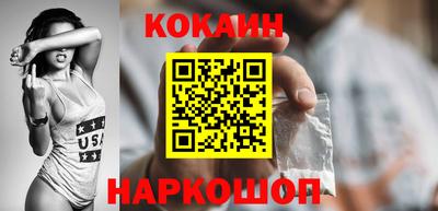 крисы Кулебаки