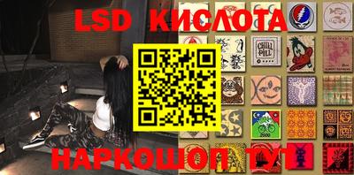 крисы Кулебаки