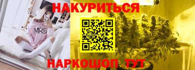 крисы Кулебаки