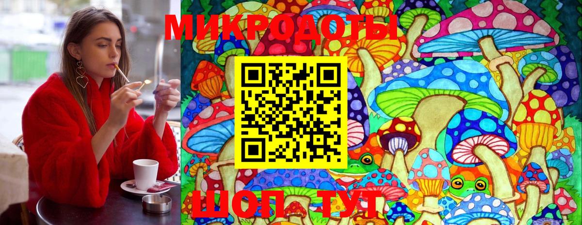Галлюциногенные грибы Psilocybe  даркнет сайт  Псилоцибиновые грибы мицелий  Карпинск  Вход с VPN 