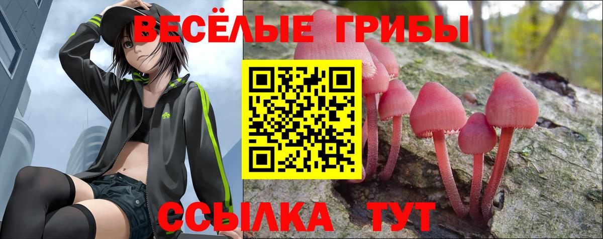 НБОМе  Вход с VPN  Карпинск  Гашиш  МАРИХУАНА  Меф кристаллы 